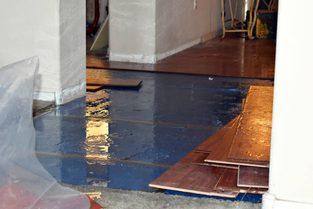 Professional Water Damage Restoration technician working in Waltham, MA